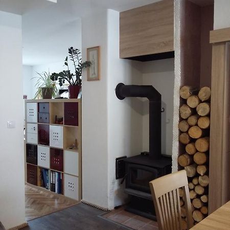Kousek Do Prirody I Do Centra Apartment Pisek  Exterior photo