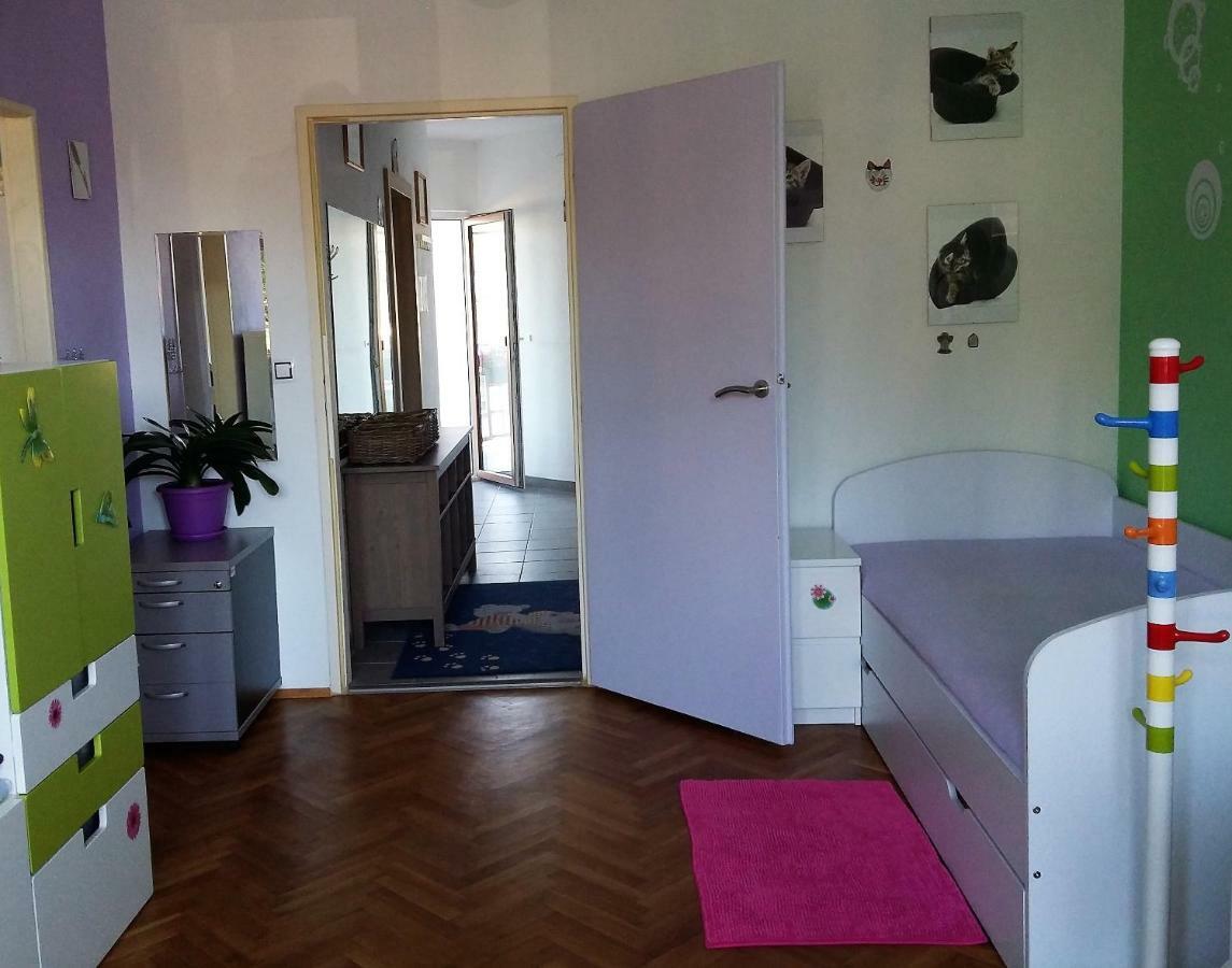 Kousek Do Prirody I Do Centra Apartment Pisek  Exterior photo